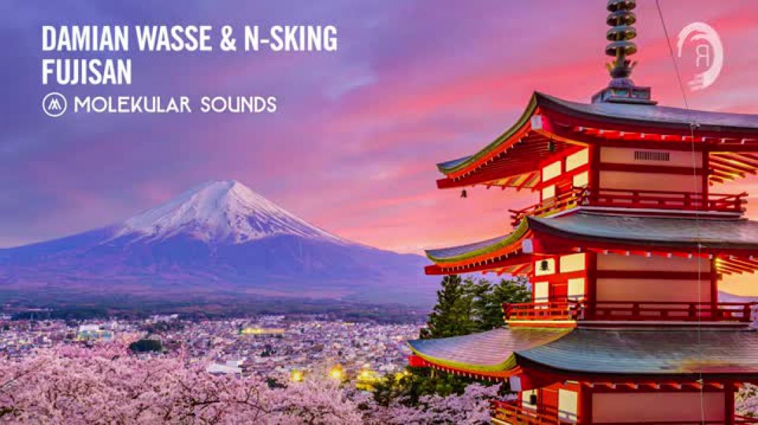 Damian Wasse & N-sKing - Fujisan [Molekular Sounds]