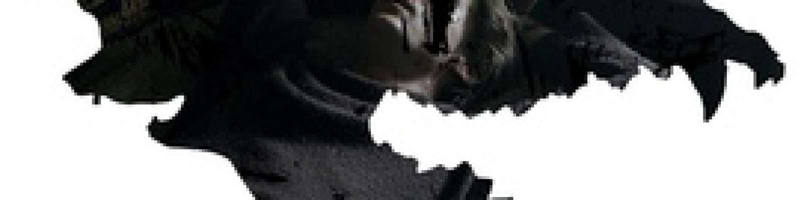 User Cover