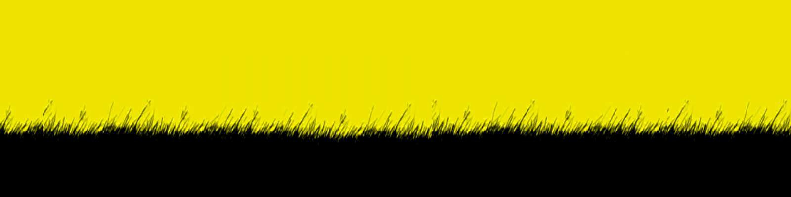 User Cover