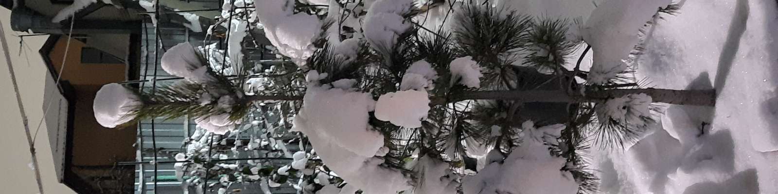 User Cover